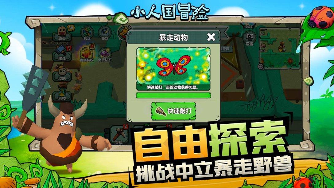 丛林之决战
